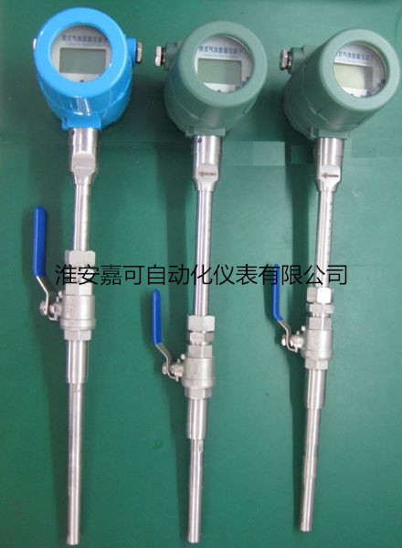 1553821901190069458.jpg 熱式氣體質(zhì)量流量計(jì)_副本.jpg