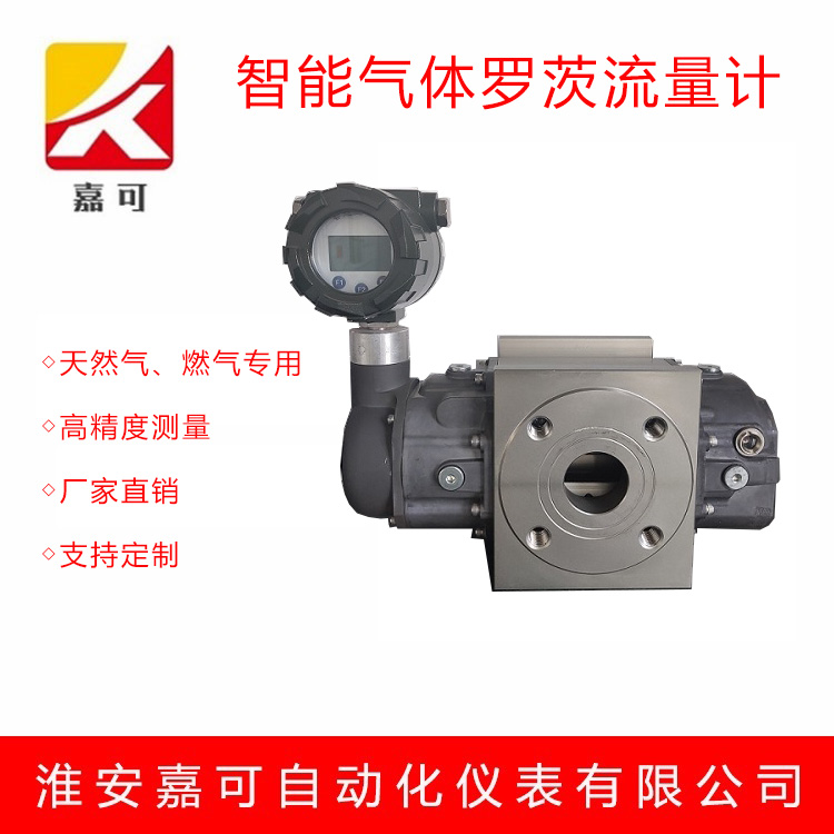 1580953665611022549.jpg 氣體羅茨.jpg